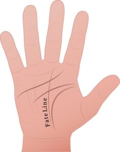 fate line used in palm reading