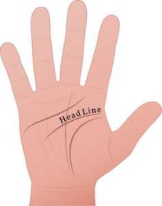 head line used in palm reading