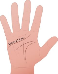 heart line used in palm reading