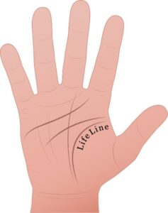 life line used in palm reading